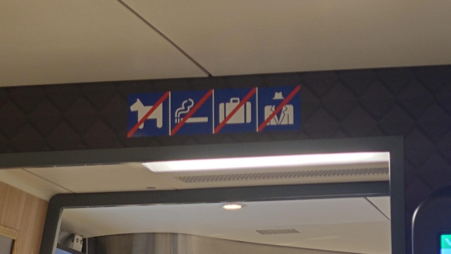 What does the last icon mean (VR Train)