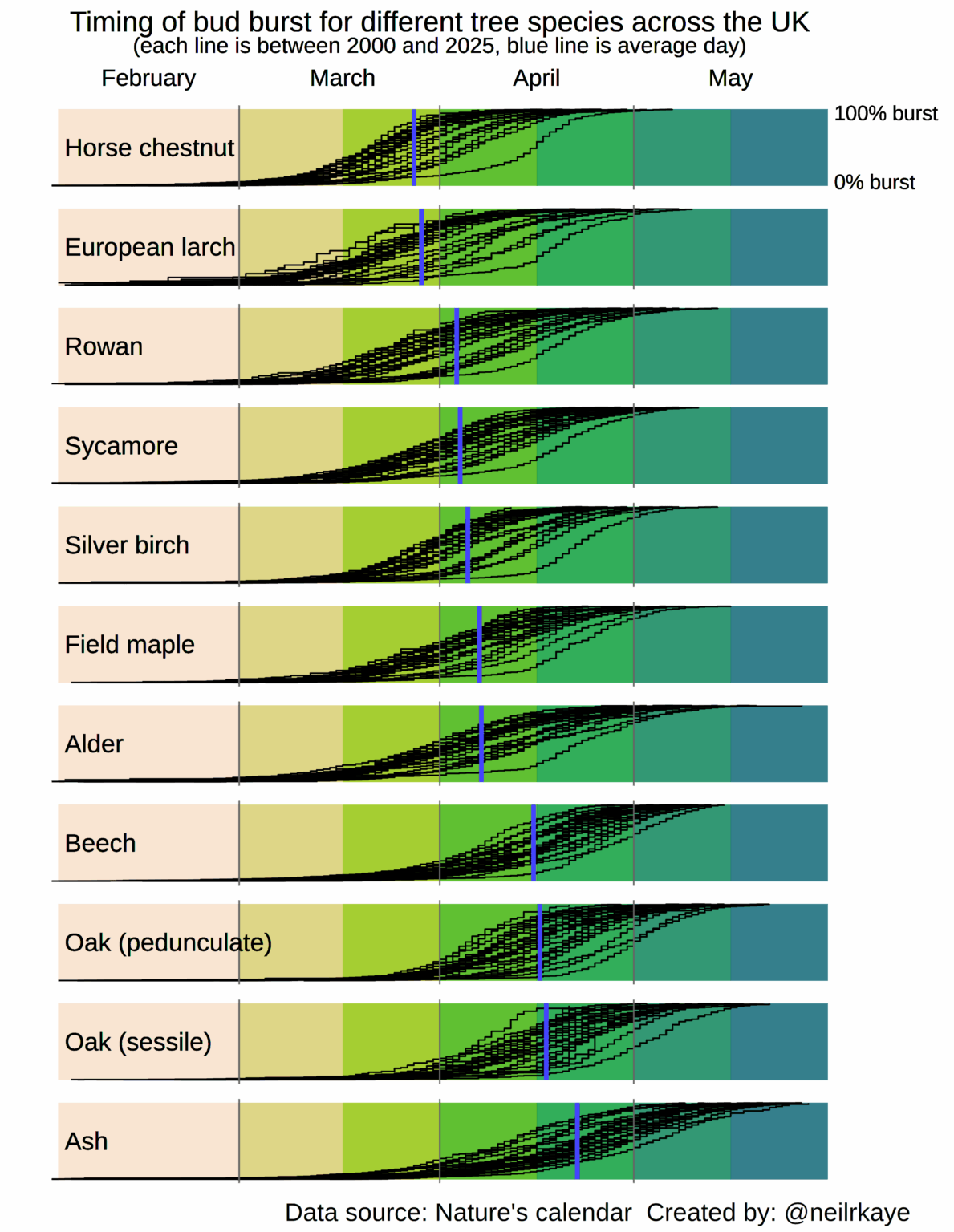Timing of bud burst for different tree species across the UK. The black lines show the timing in the Spring for the years 2000 to 2025 and the blue line is the average day for that species. [OC]