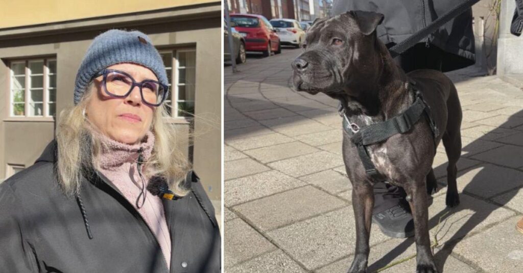 She wants to DNA-trace dog poo in Malmö – heavy fines for the owners She wants to DNA-trace dog poo in Malmö - heavy fines for the owners