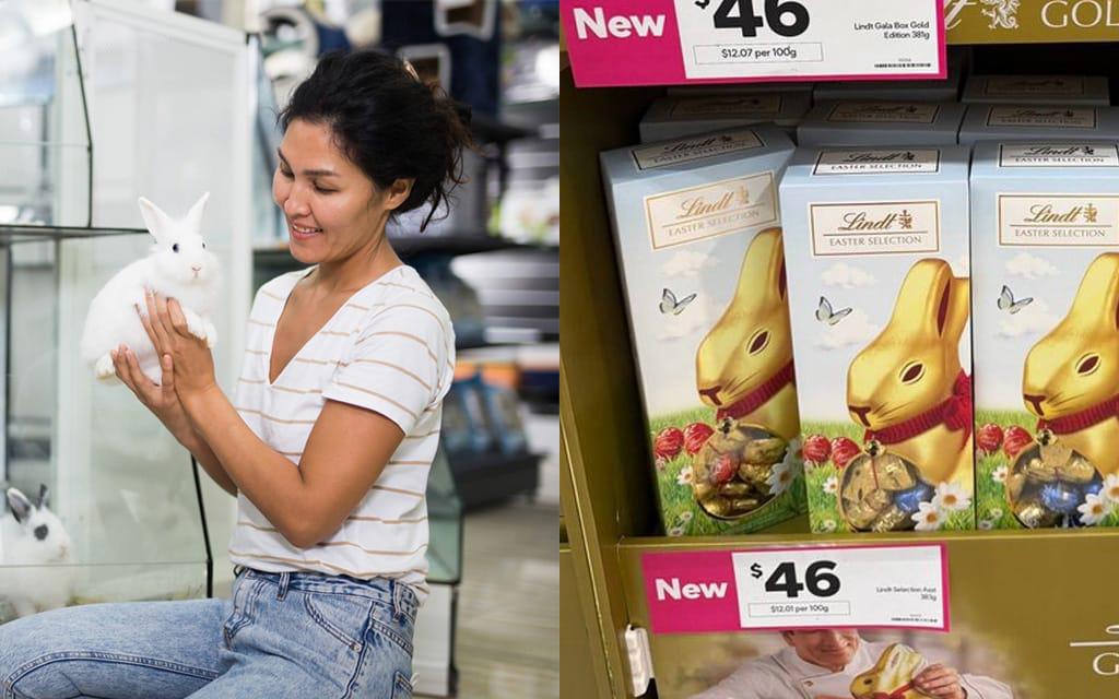Report: It’s Cheaper To Buy Actual Rabbit Than A Chocolate One This Easter