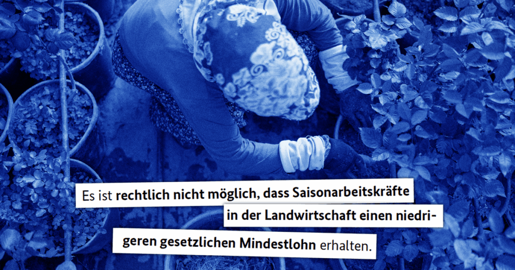 Exception to the minimum wage: The CDU doesn't care about illegality