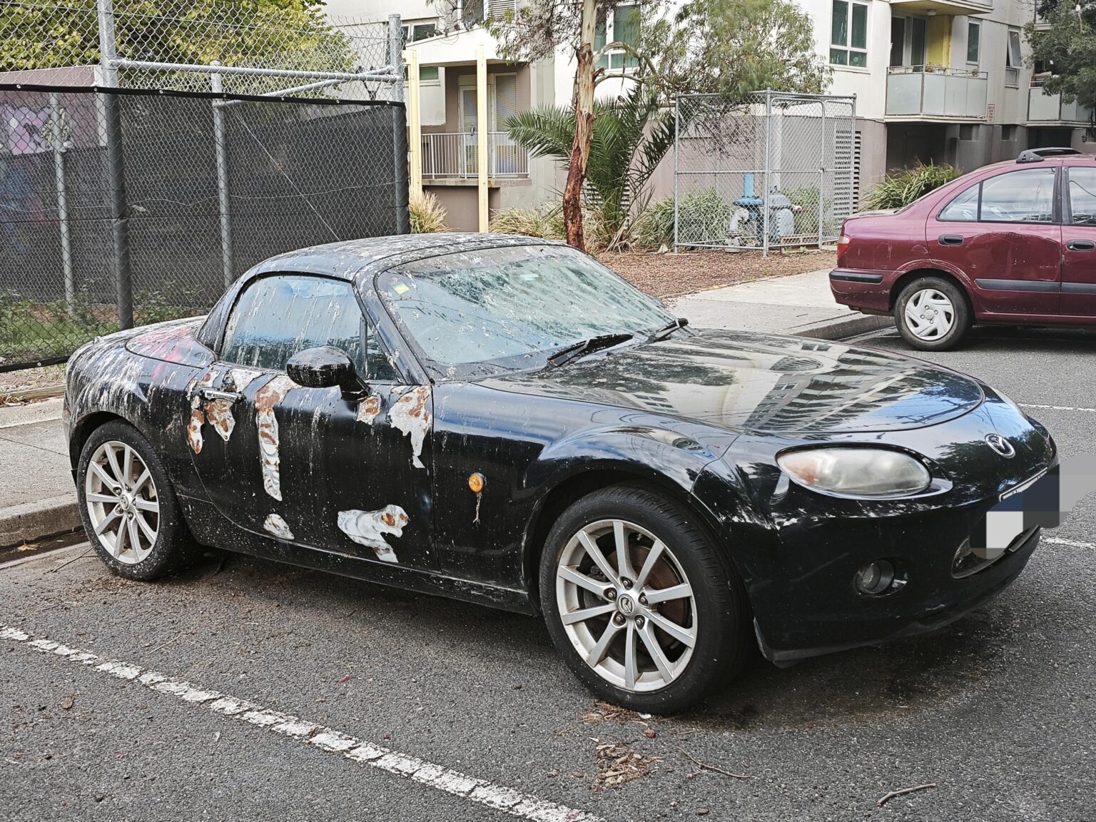 Well looks like some birds are not happy with this Mazda