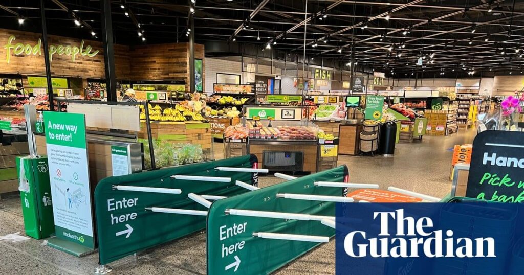 Woolworths shoppers concerned new anti-theft gates may trap them and hit their children | Woolworths