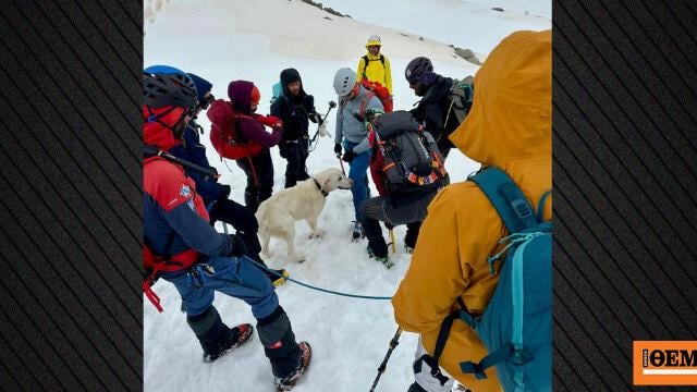 Dog survived 9 days at an altitude of 1,900 m in Metsovo, he was accidentally found by climbers and returned to his owner, see video