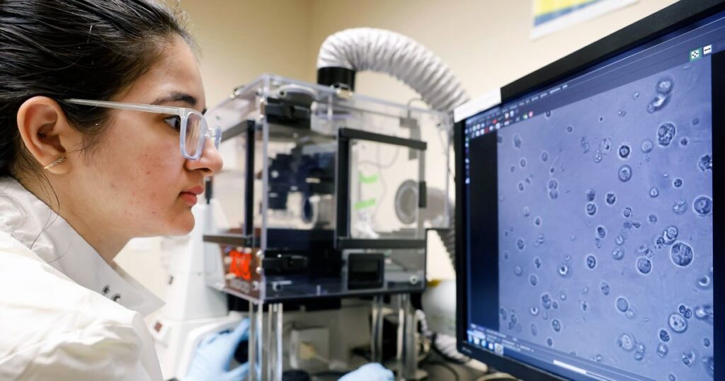 How the environment may affect your breast cancer risk