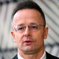 Russia to free two Hungarian-Ukrainian POWs, Putin says | National