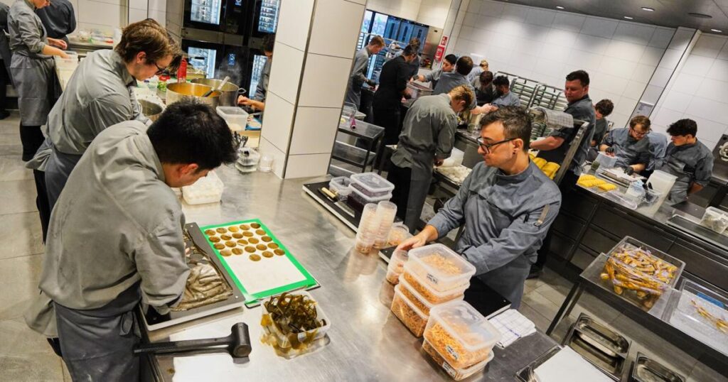 Denmark is set to explore if gastronomy can be recognized as an art form | World News