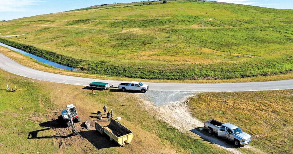 Manatee Deaths Rise | Environment