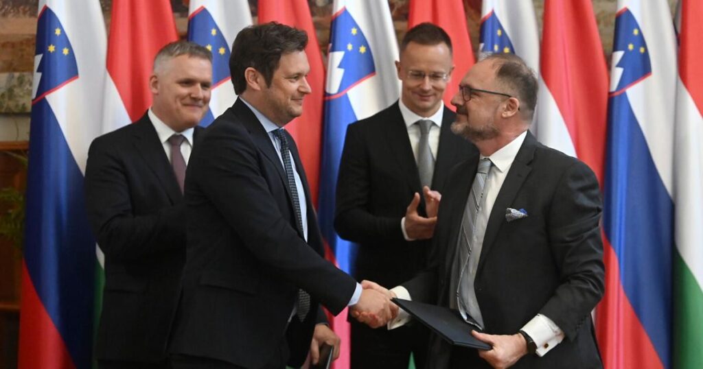 Hungary Slovenia | World | guardonline.com