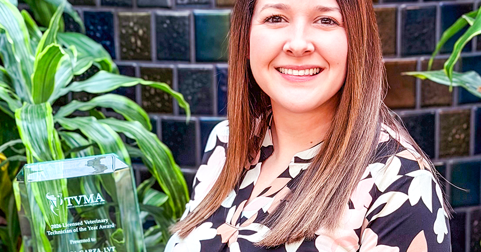 Blinn Veterinary Technology Program Director named Licensed Veterinary Technician of the Year | Home