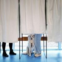 France's leftists win mayoral elections in largest cities | National