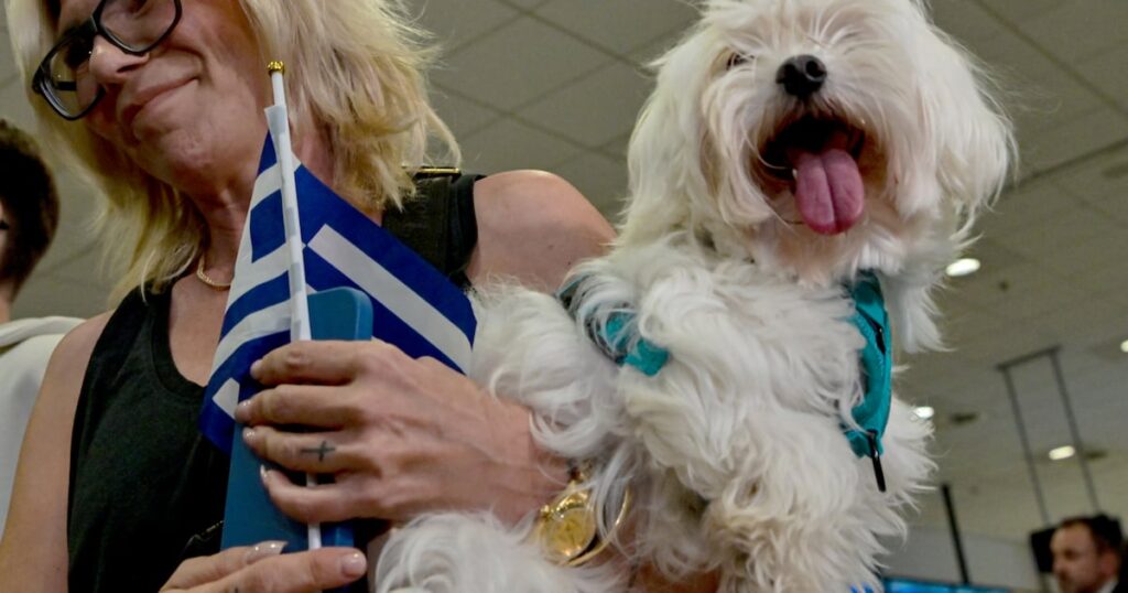 'No family left behind': Passengers board UAE-Greece repatriation flight with precious pets