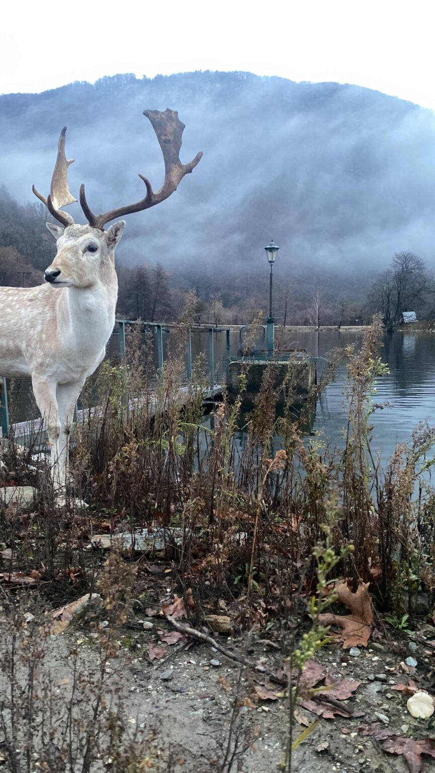 Shot by me 📸( Panagitsa village, Edessa Greece 🇬🇷 )OC