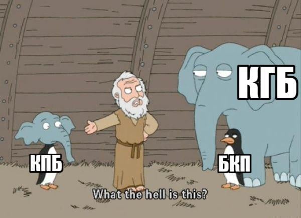 Congratulations "Progressive Bulgaria Coalition"