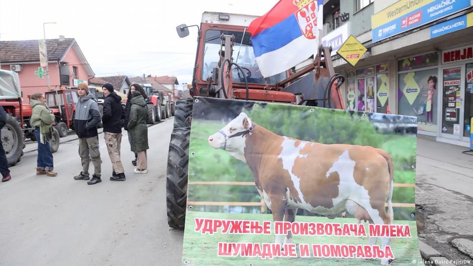 How an online 'Milk Map' is helping Serbian farms survive