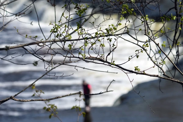 Meteorologists Announce Forecast for the New Week in Latvia Meteorologists Announce Forecast for the New Week in Latvia