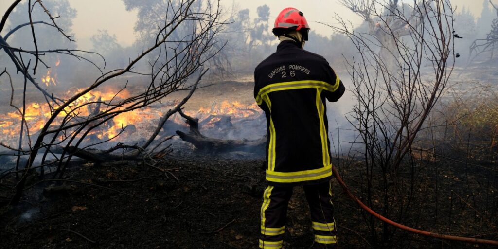 Firefighters in France use controlled burns to prevent summer wildfires