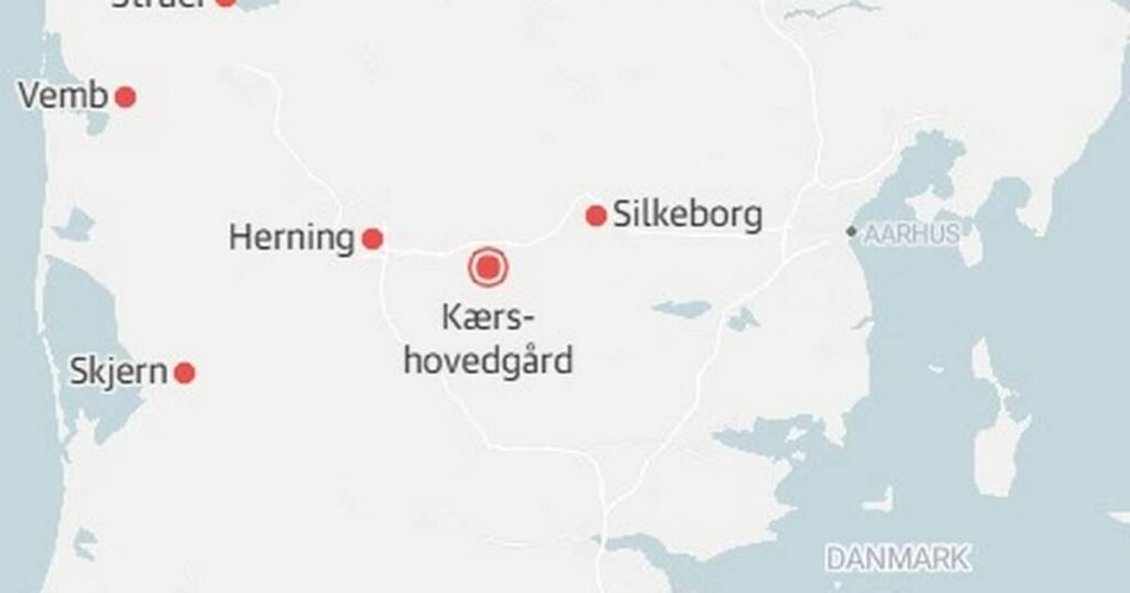 A man from Libya has now been deported by Denmark 16 times: "It screams to the sky"