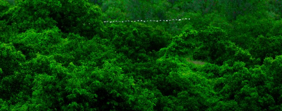 Still from Green Screen, 2021 by Sojung Jun © 2026