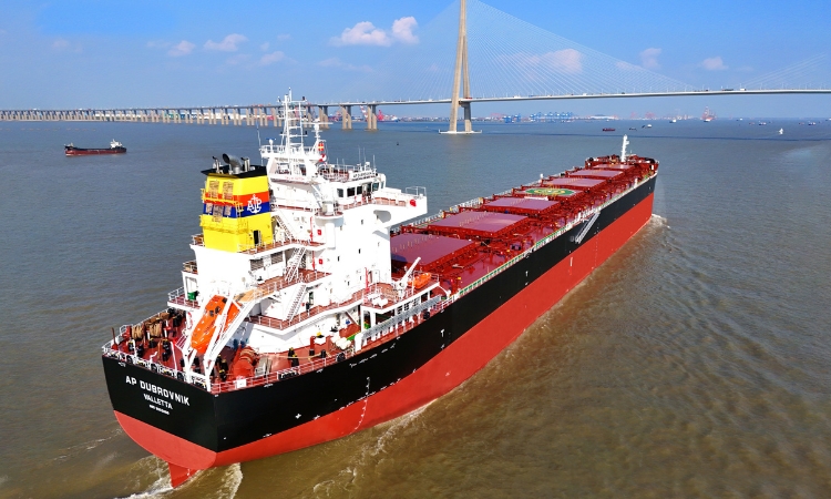 Dubrovnik Shipping Vessel Remains in Persian Gulf as Strait of Hormuz Traffic Plunges