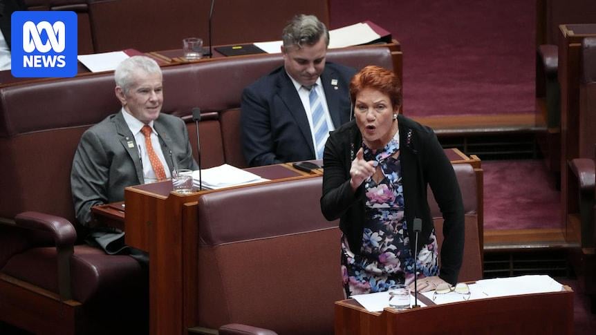 Censure motion against Hanson passes the Senate