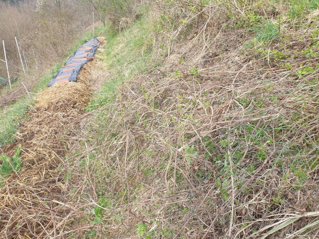 Are you having problems with your lawnmower in the yard? (Solution in pictures)