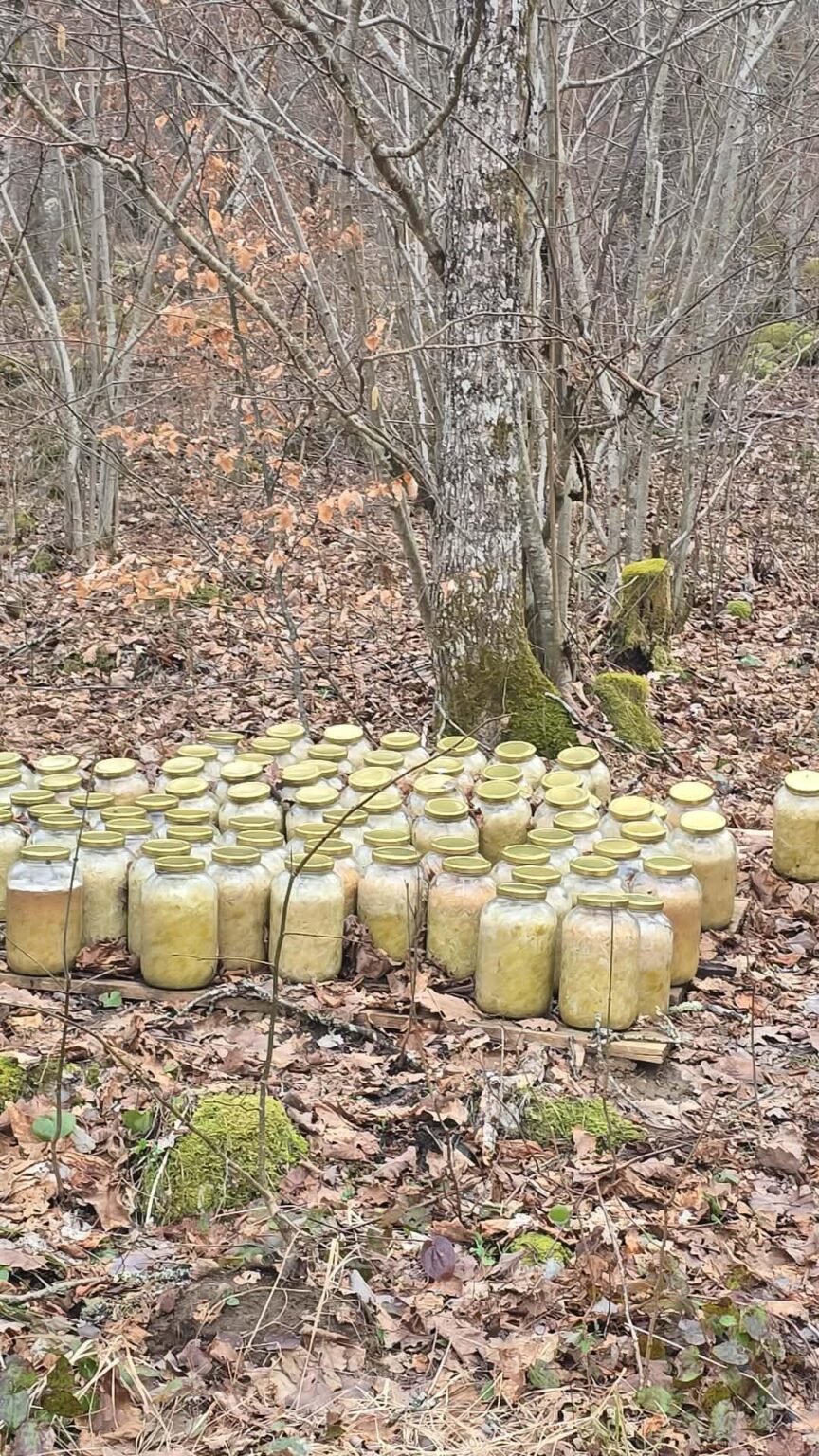 Farm 2026 - Forgotten weekly task???