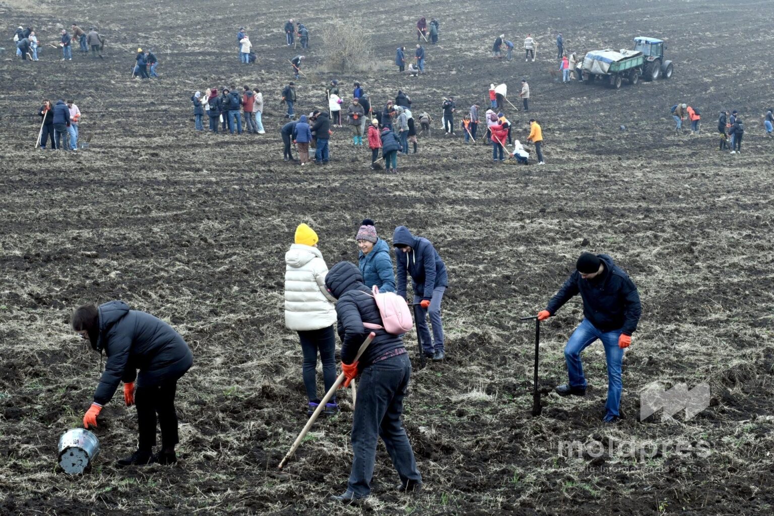 VIDEO // National tree planting campaign 2026 launched in central Moldova district VIDEO // National tree planting campaign 2026 launched in central Moldova district