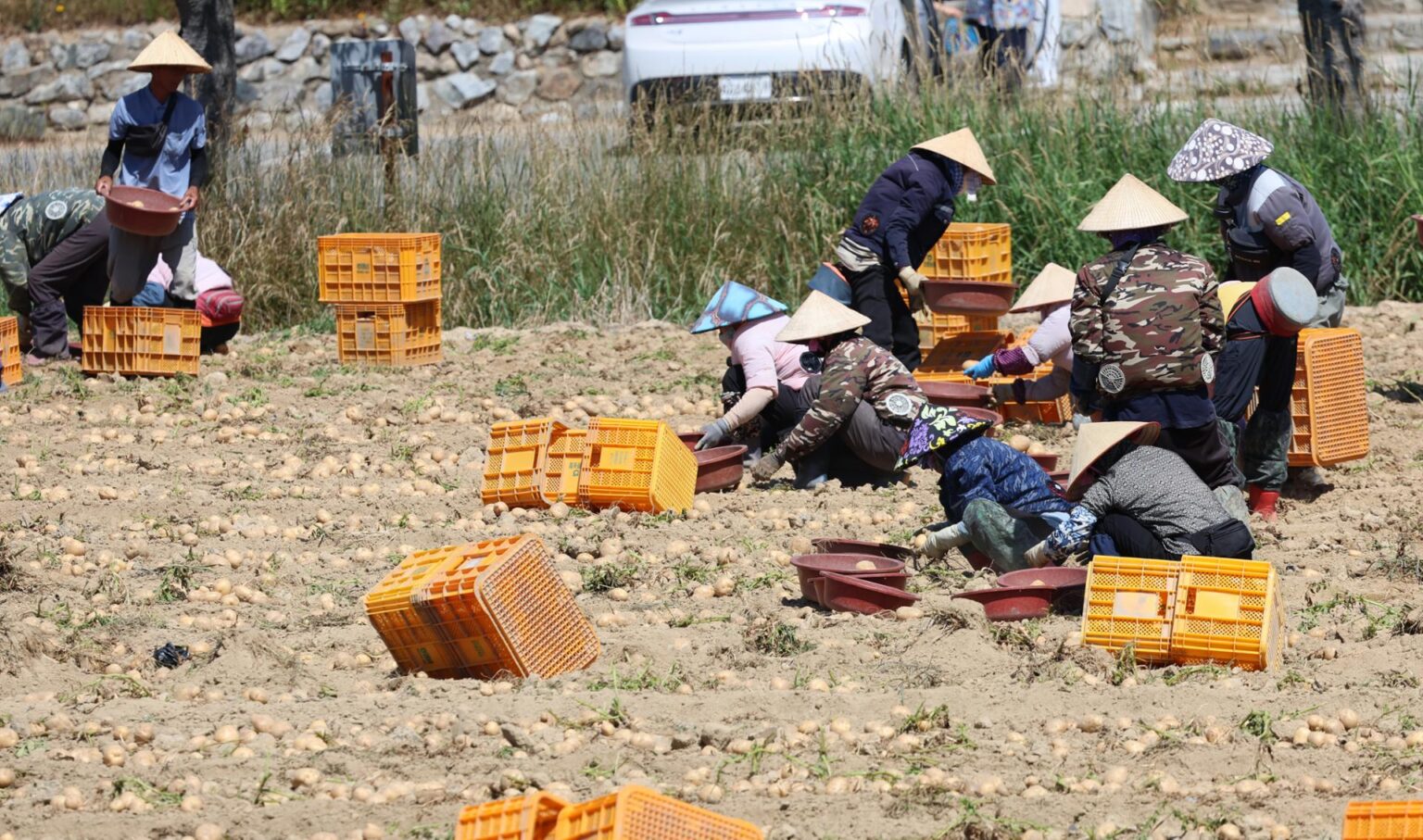 Foreign residents should be included in state cash handouts, human rights watchdog says