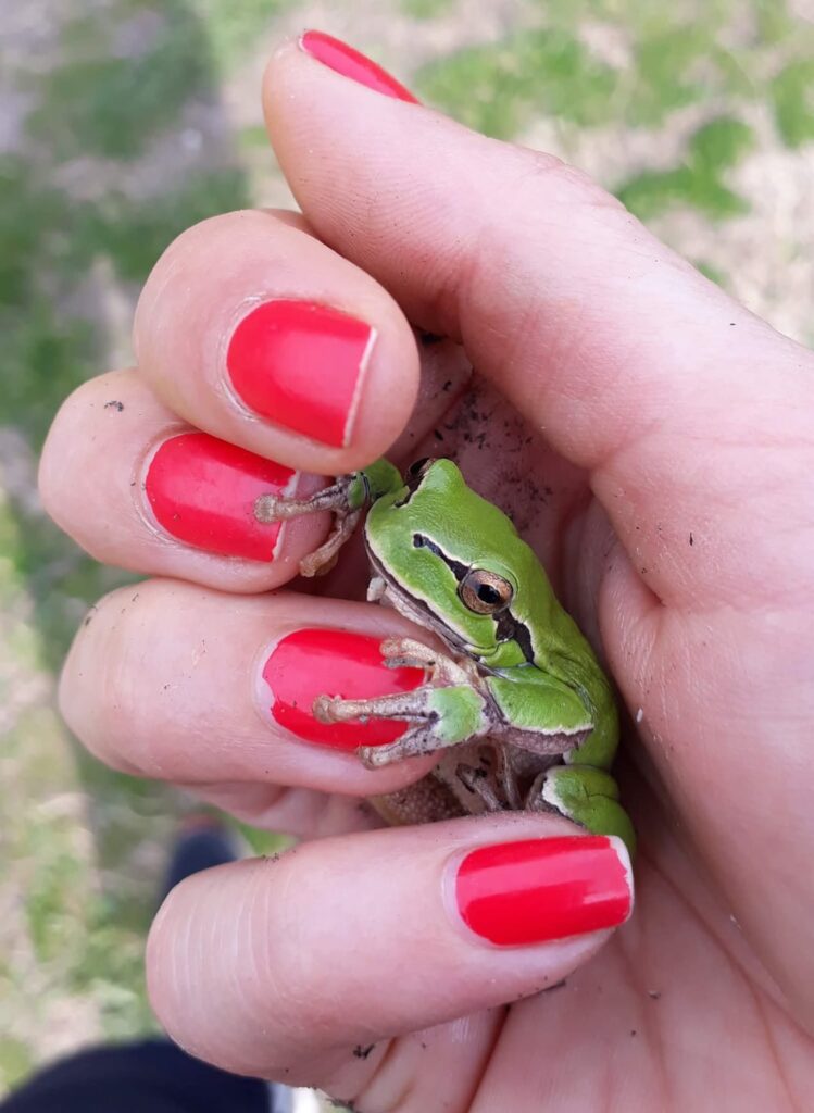 Are you afraid of crawling, jumping, hissing, flying critters?