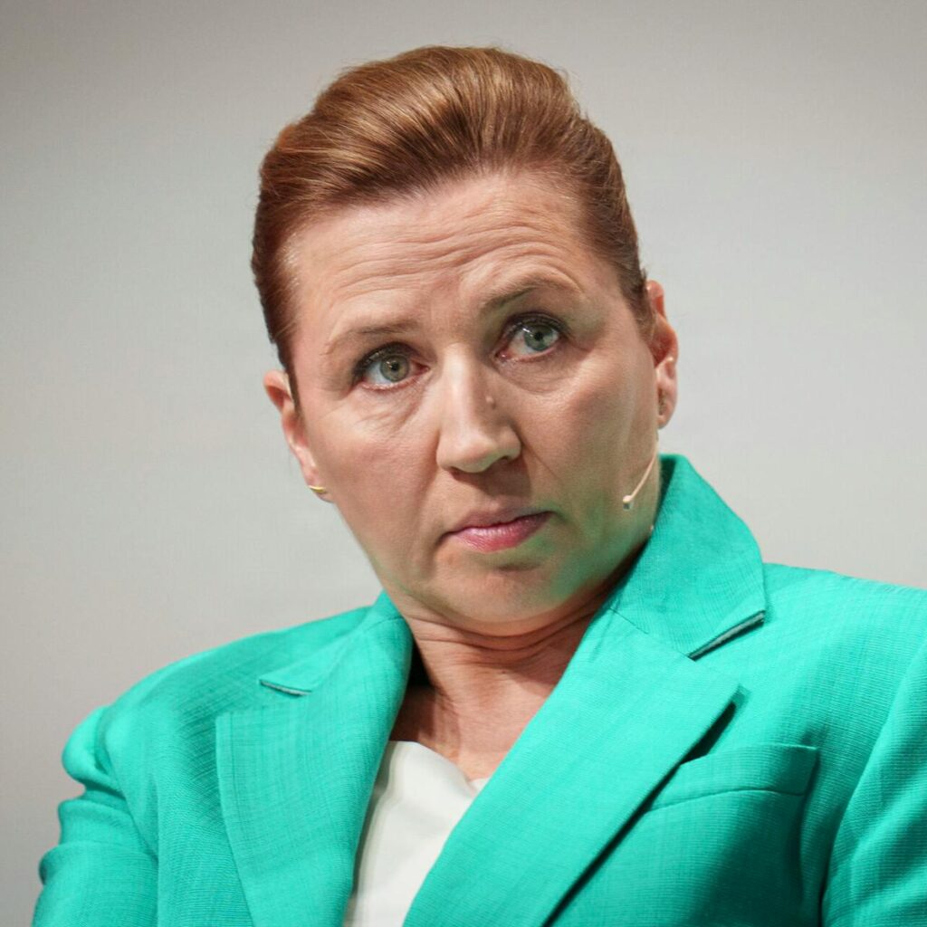 So it's official: Mette Frederiksen becomes a royal investigator