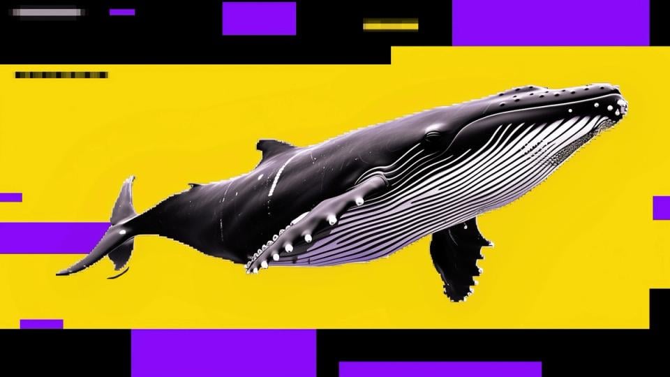 Bitcoin dip may not be over as whales sell into retail buying