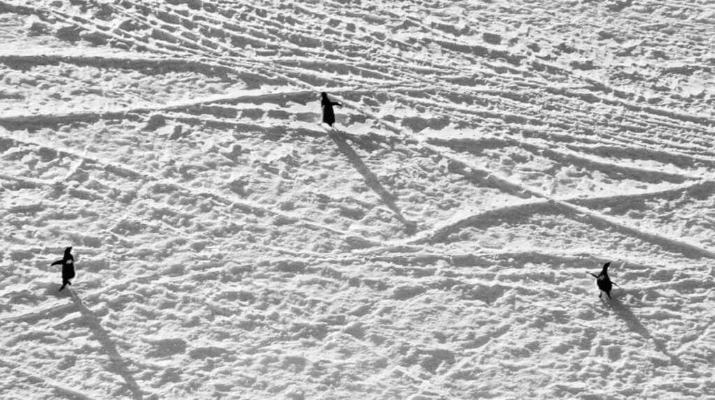 Australian Art created in Antarctica — Art Guide Australia