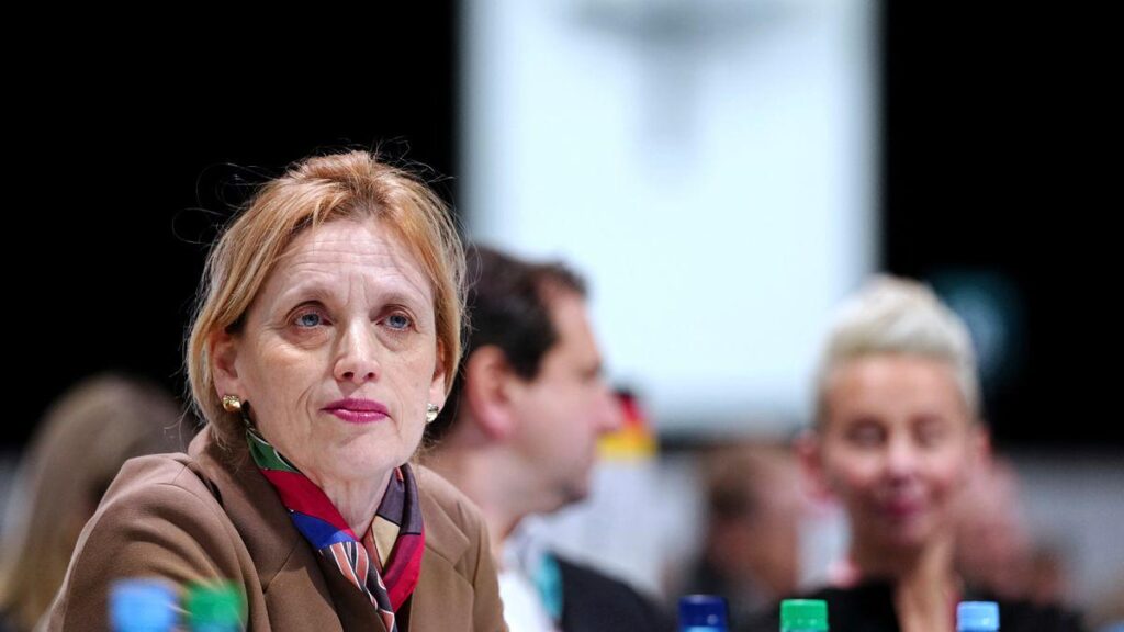 Education Minister Karin Prien wants to cut money from democracy projects