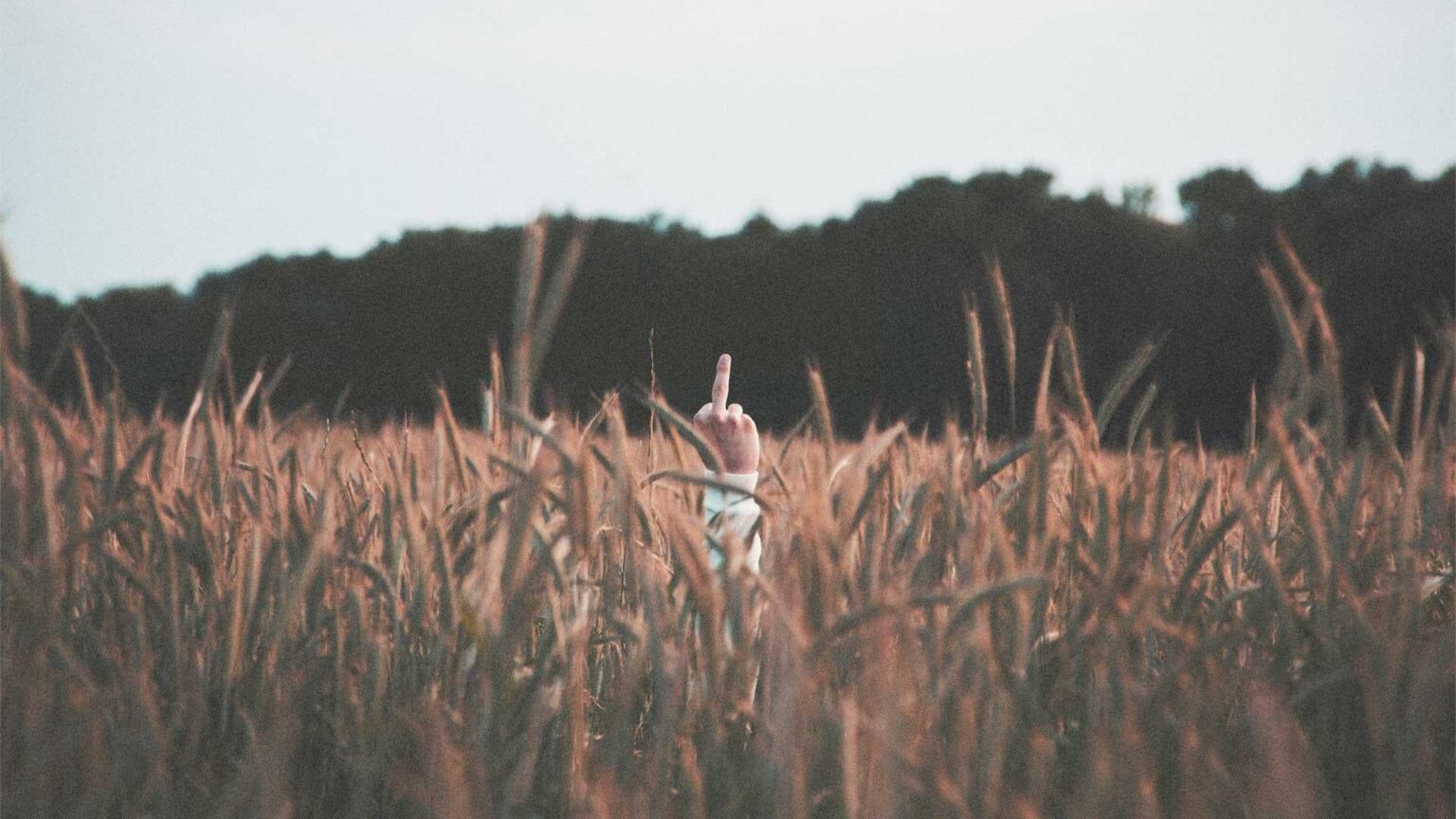 Trump's MAGA People Are Destroying America for Spite