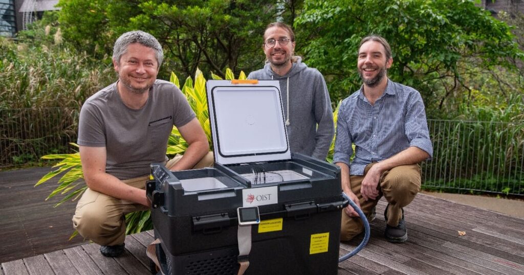 Researchers in Japan target early-life bottlenecks in aquaculture