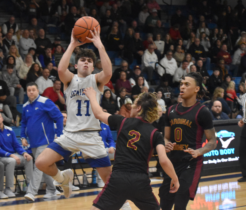 Poland knocks off Cardinals to advance to district final | News, Sports, Jobs