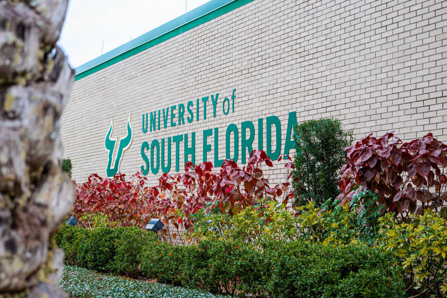 USF environmental organizations petition to reinstate the Office of Sustainability