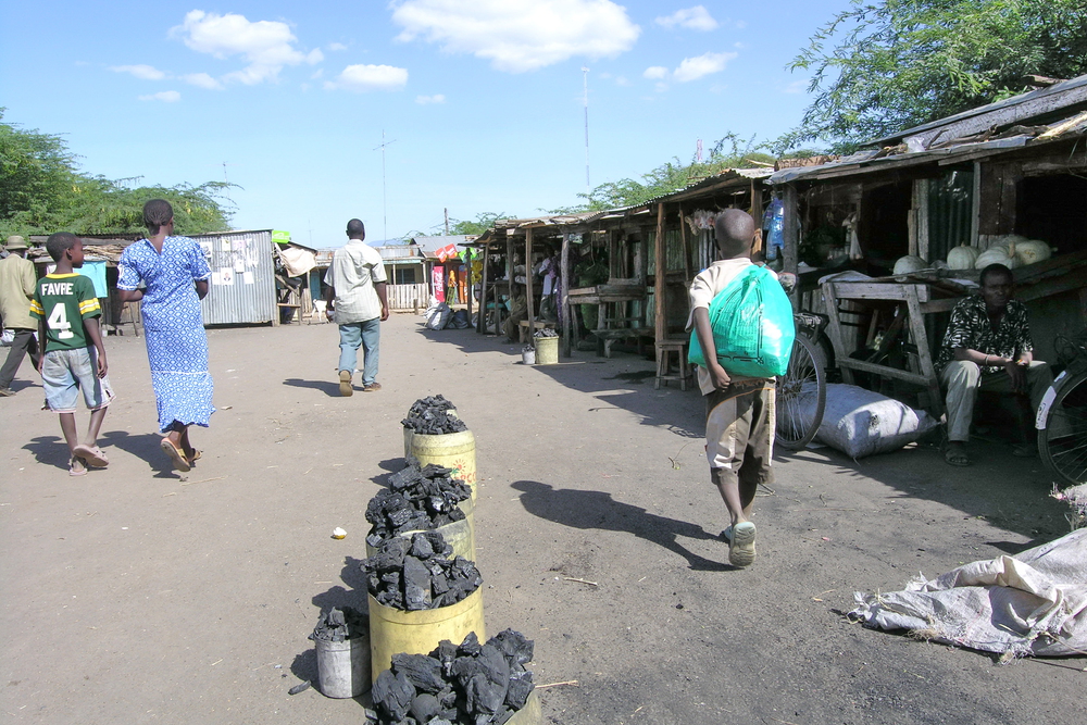 Africa and the New Geopolitics of Resources