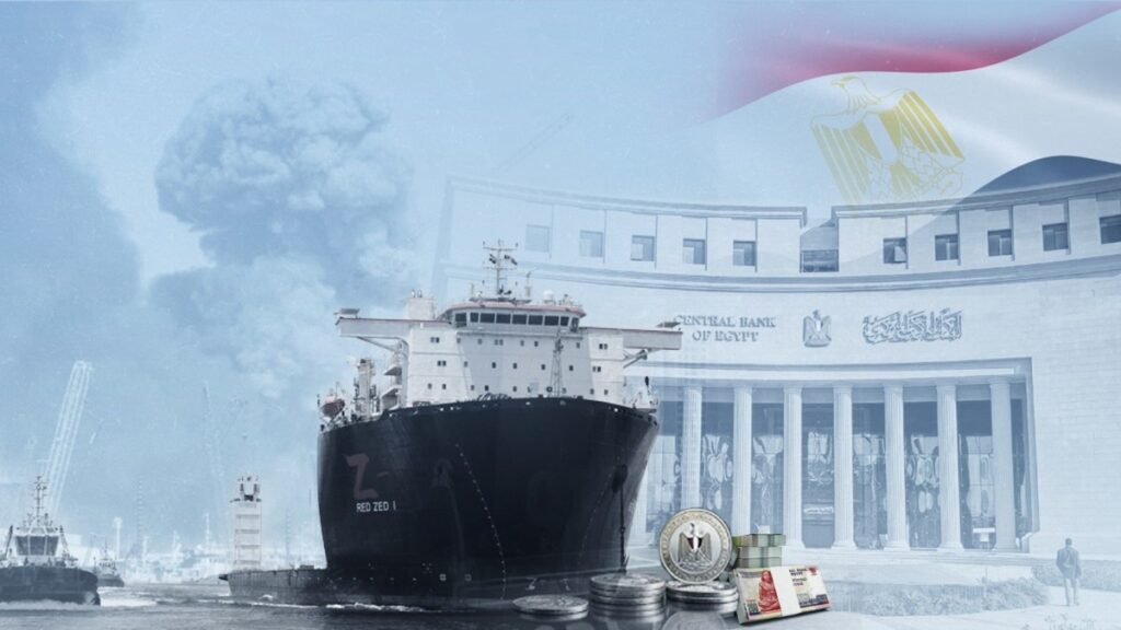 Ahmed Elimy's avatar