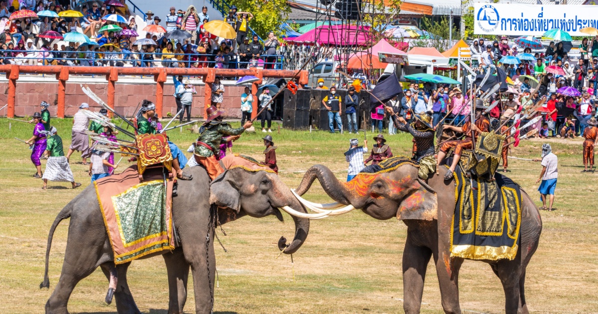Elephants fighting