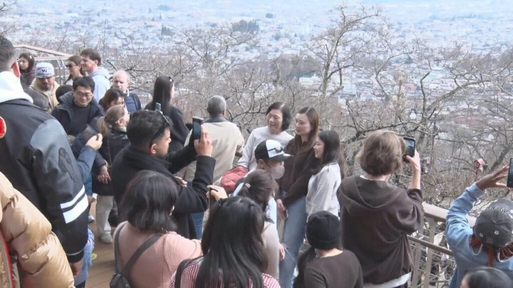 Despite the cancellation of the cherry blossom festival, tourists continue to flock to the area, exhausting residents with disruptive behavior: "It's useless to warn them." - Fujiyoshida City, Yamanashi Prefecture