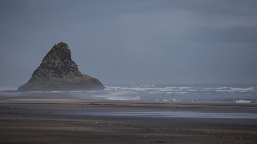Search and rescue underway for man swept off rocks at Karekare