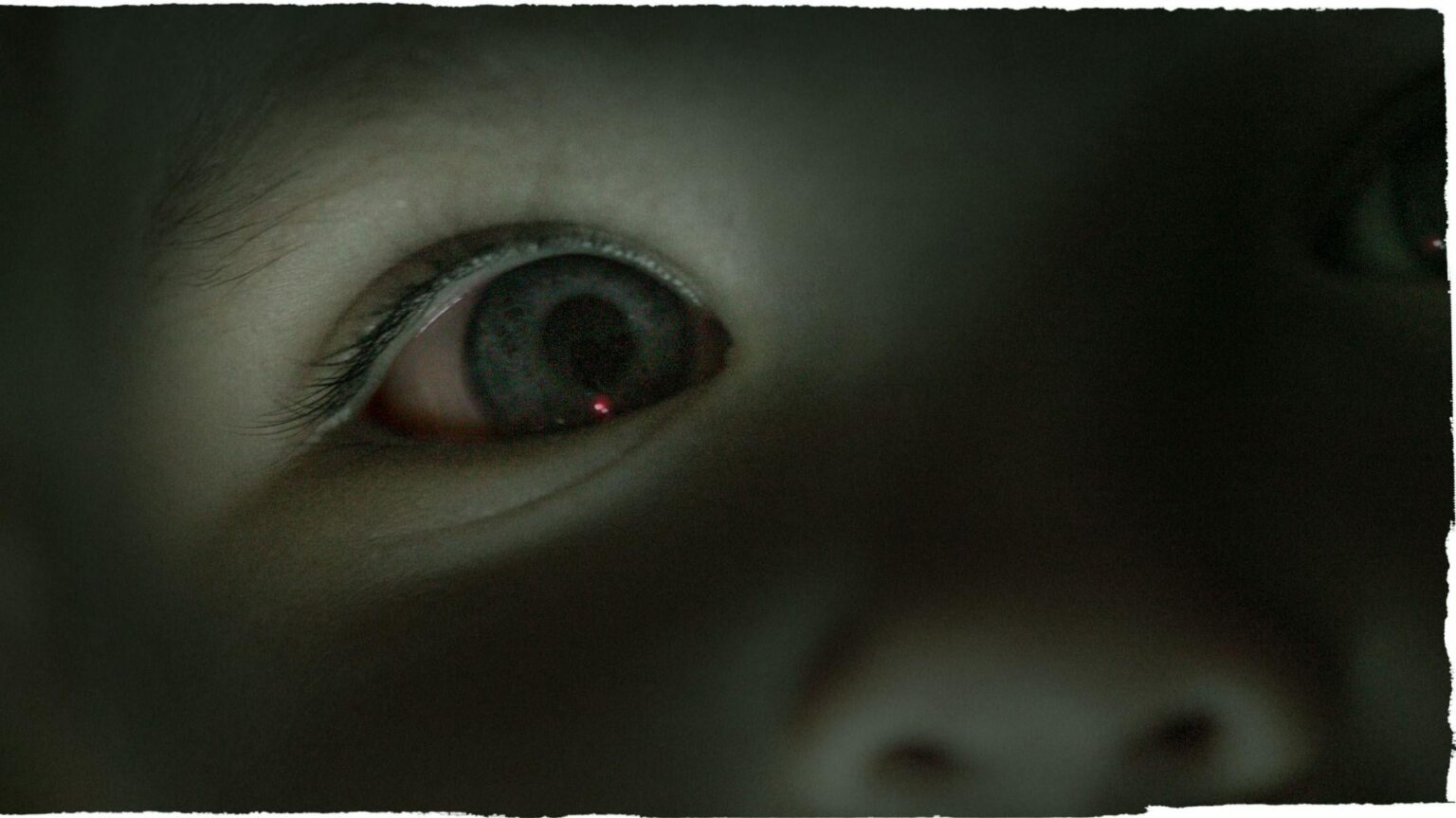 Pig semen component could deliver chemotherapy to hard-to-reach eye cancer, mouse study suggests: Researchers showed that "exosomes" from pig semen may be used in a potential new treatment for retinoblastoma.