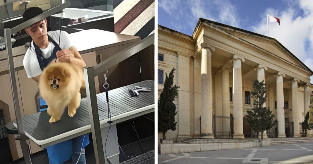 Article Featured Image