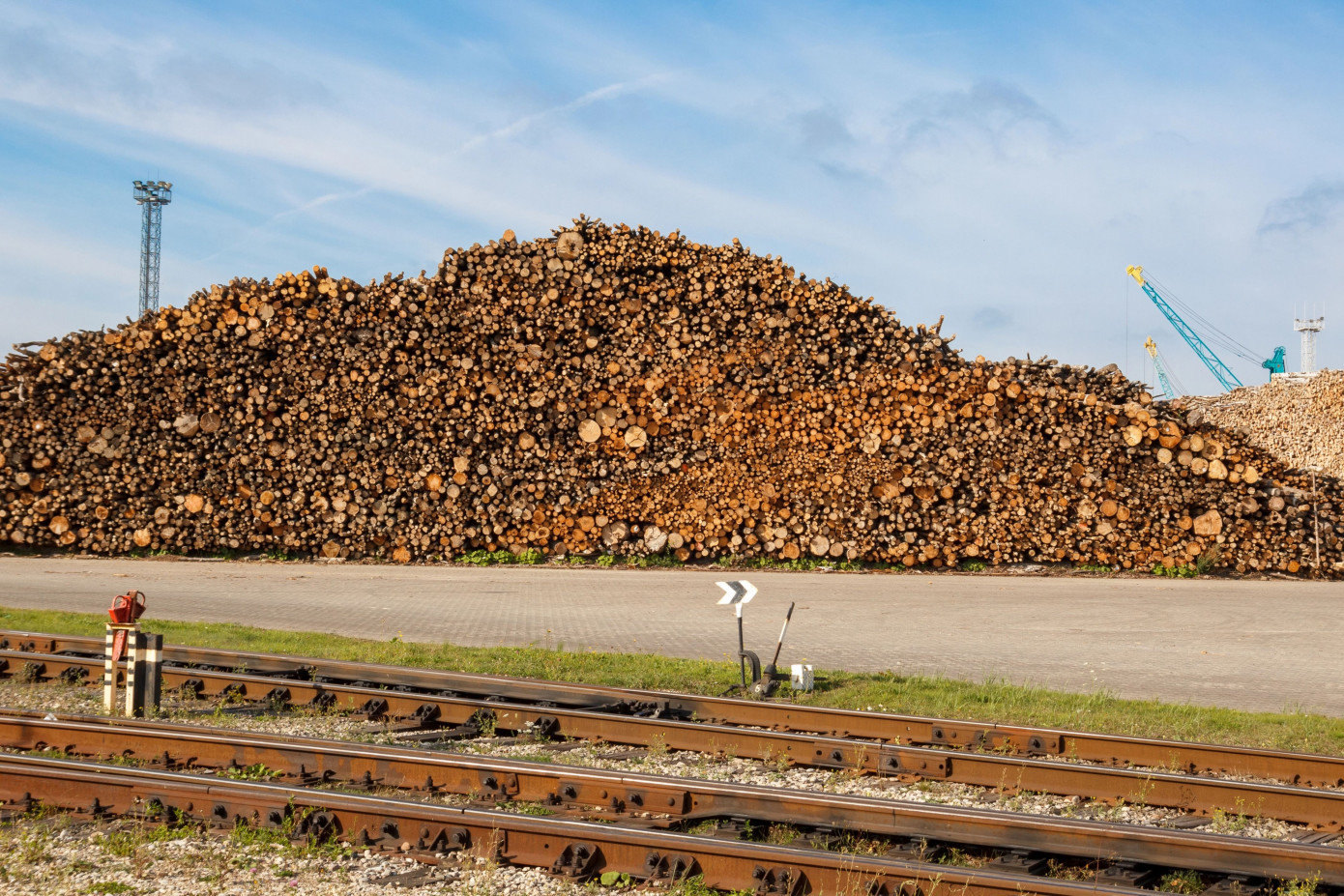 Exports of logs from Norway grow 42% in February