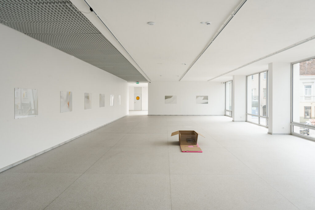 Gerda Paliušytė, Solo exhibition _Expectations_, CAC, 2025. Curator Asta Vaičiulyė. Photo: Andrej Vasilenko. Courtesy of the artist