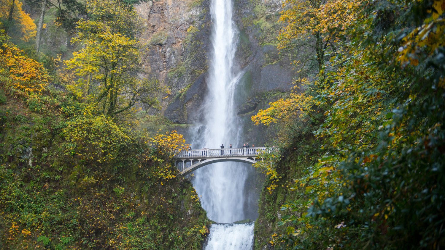 Filming Location for Twilight-OREGON, UNITED STATES - 2014/11/07: View of Multnomah Falls with foot bridge in the fall, a waterfall near Portland along the Columbia River Gorge in Oregon, USA.