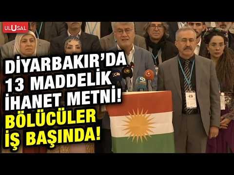 The Kurdish National Platform established in Diyarbakır demanded division!