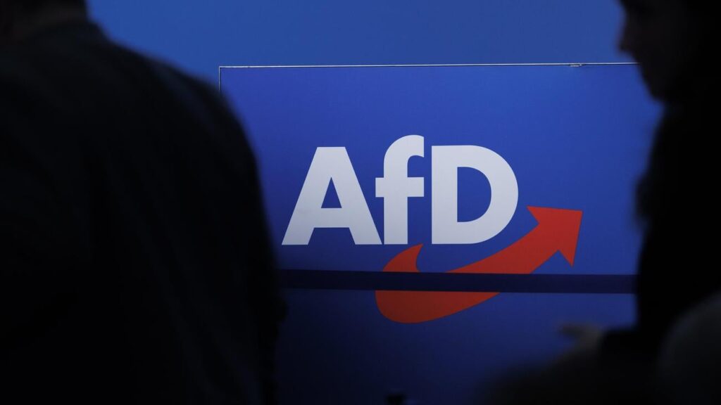 AfD in Rhineland-Palatinate: The AfD is the strongest force among 18 to 24 year olds